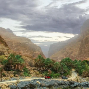 عرض بديل لـ منتج ٢٢٢